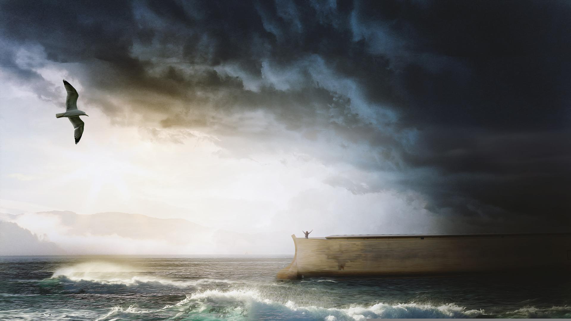 Grace In Noah's Life